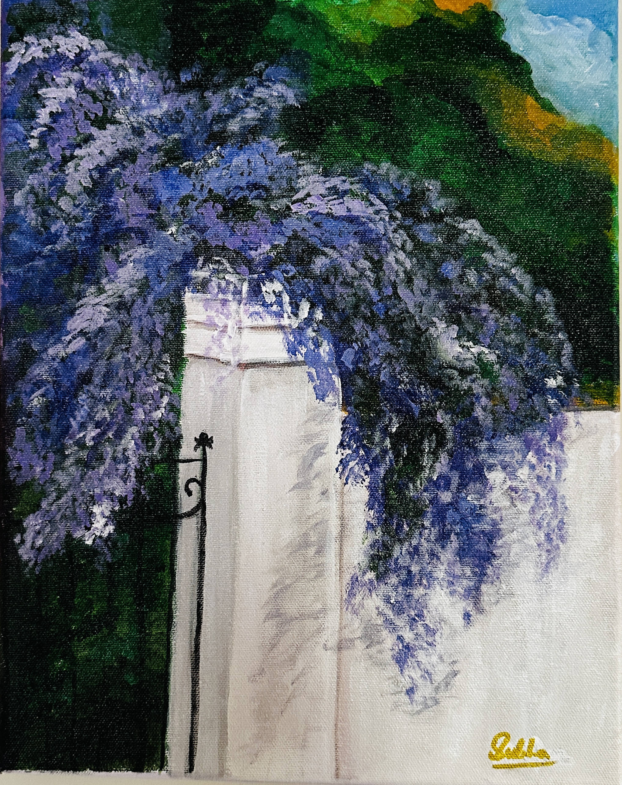 Wisteria garden
